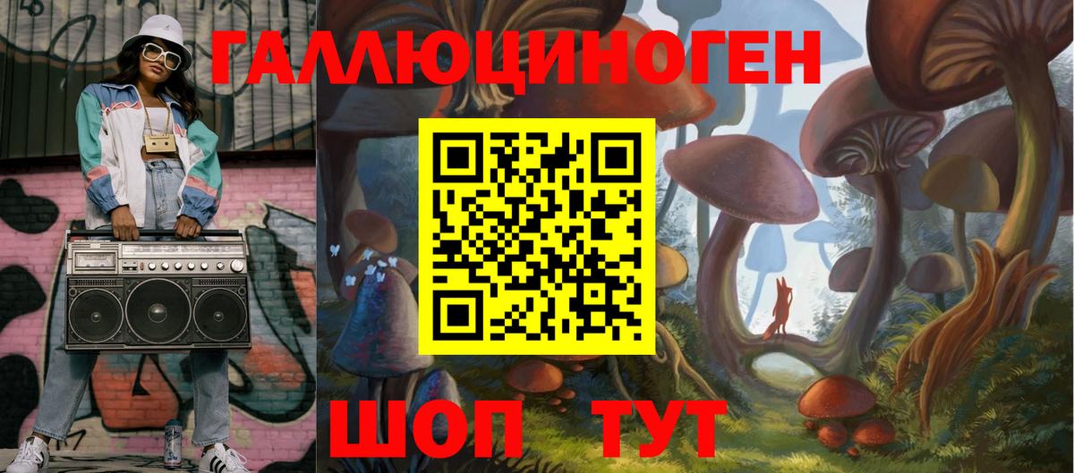 Галлюциногенные грибы Psilocybine cubensis Фролово
